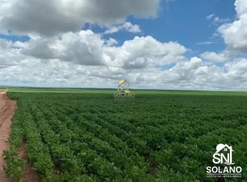 ihmtxvsiqpvz1789750206444.jpg · FAZENDA A VENDA A 70 KM DE PRIMAVERA DO LESTE MT.