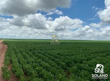 ihmtxvsiqpvz1789750206444.jpg · FAZENDA A VENDA A 70 KM DE PRIMAVERA DO LESTE MT.