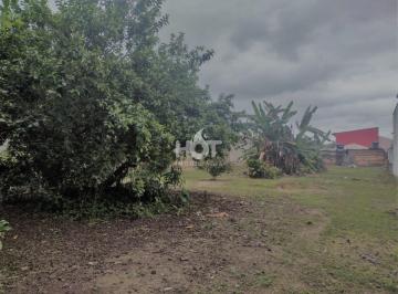 Terreno · 4571m² · Terreno para vender na Praia João Rosa, Viabilidade, Biguaçu