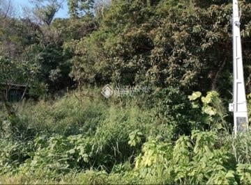 Terreno · 800m² · Terreno para vender na Armação, Viabilidade de Construção, Florianópolis
