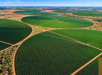 Foto 05 · Fazenda  2.351,4858 Hectares (971,68834 Alqueires).Cidade de Garça SP com heliponto