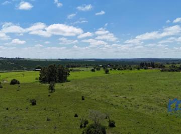 Foto 01 · Sítio/Fazenda à Venda, 41 alqueires por R$ 10.500.000 Cód. ch2853