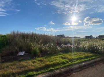 42cd775e3fc63ad63e5c274258fe9c33545cfa8e · Terreno Residencial à venda, Cancelli, Cascavel - TE1527.