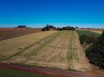 d6eafb9821b57784abaad0d8361d47a85d33bf3a · Chácara à venda, 35970 m² por R$ 1.200.000,00 - Sede Alvorada - Cascavel/PR