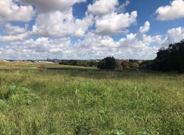 4be7aa5394cd9ad8499861710ac3beeb6cbfa3f6 · Área à venda, 59800 m² por R$ 8.500.000,00 - Morumbi - Cascavel/PR