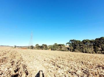 754972f76e342755291690f59927b58cf5000004 · Área Residencial à venda, Zona Rural, Guarapuava - AR0033.