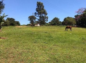 2612f2a7acc311cc4418013e9408e371a4aca3fa · Área Residencial à venda, Universitário, Cascavel - AR0046.