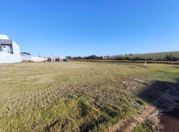 47a169d84f64051f87fd0c52a704f3aea069b2b0 · Terreno Residencial à venda, Parque Verde, Cascavel - TE1042.