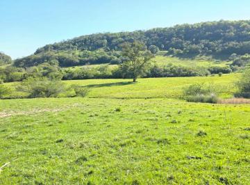 Rural , Taquara · SÍTIO COM 11 HECTARES À VENDA EM TAQUARA/RS – MORRO DO MEIO