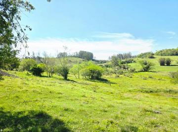 Rural , Taquara · SÍTIO COM 7 HECTARES À VENDA EM TAQUARA/RS – MORRO DO MEIO