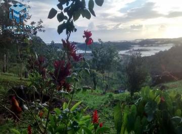 Foto 03 · GRANDE OPORTUNIDADE DE ADQUIRIR EXCELENTE FAZENDA COM PREÇO IMPERDÍVEL NA REGIÃO SUL DA BAHIA!!