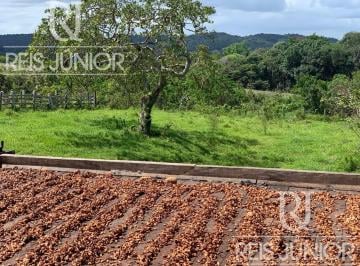 Foto 01 · Fazenda à venda em Ilhéus-BA com 242 hectares!