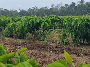 Foto 01 · Oportunidade única: Fazenda à venda na cidade de Nome da cidade] no bairro Nome do bairro], com cara