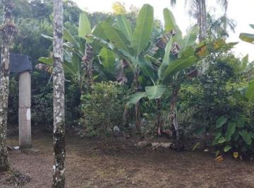 Terreno · 1000m² · Mini chácara de 1.000 m² à venda no bairro Barreir