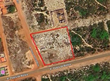 Terreno · 4597m² · Ampla Area de 4.597m2 na Rua Pedra da Baleia Sao Miguel do Gostoso/RN | Oportunidade Premium para I