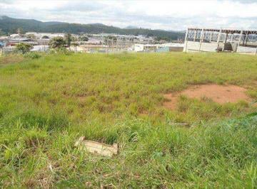 Terreno · 18500m² · Terreno para venda em Chácara Do Solar I (fazendinha) de 18500.00m²