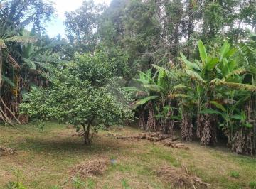 Terreno · 200m² · 4 Quartos · 3 Vagas · Chácara para venda em Pau Arcado de 200.00m² com 4 Quartos, 1 Suite e 3 Garagens