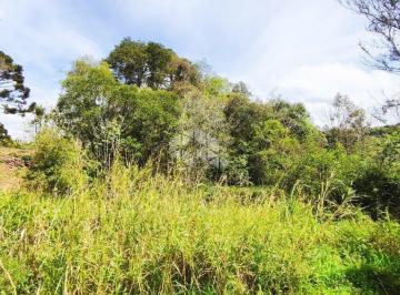Terreno · 75281m² · Chácara Área de Terra Terreno Urbano  Linha Alencastro