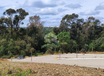 Terreno · 90000m² · Chácara Área de terra Urbana em Nova Milano (Monte Verde 1º de Maiio) - Farroupilha
