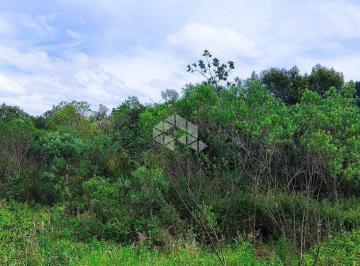 Terreno · 129117m² · Chácara terreno área de terra Urbana Linha Palmeiro