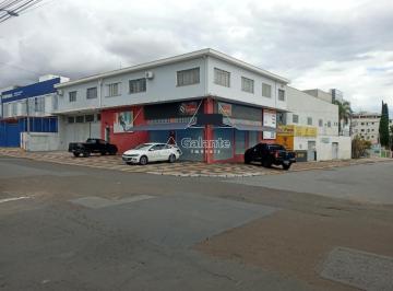 0 · casa para aluguel em São Bernardo