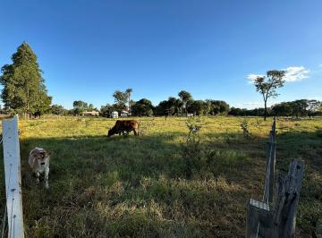 Imagem 1 · Chácara para venda em Chácara das Mansões, Campo Grande