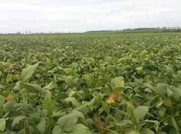 Imagem 1 · Terreno para venda em Centro, Paranatinga