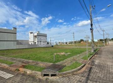 249dfd769f5e81a68680bd1dc2dbb71c.jfif · Terreno, 267.46 m², em Centro