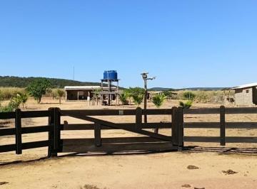 202609261135511523.jpeg · Fazenda para Venda em Júlio Borges