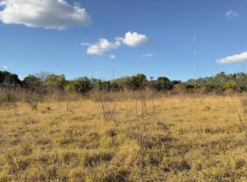 Rural de 3 quartos, Sobradinho · Chácara 40.000 metros na rua 19 do Lago Oeste, Aceito Trocas!