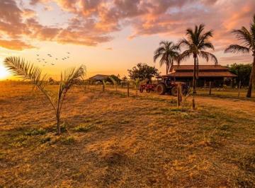 Rural de 4 quartos, Sobradinho · Vendo Belíssimo Haras Formado No Lago Oeste Beirando o Asfalto! Localização excelente