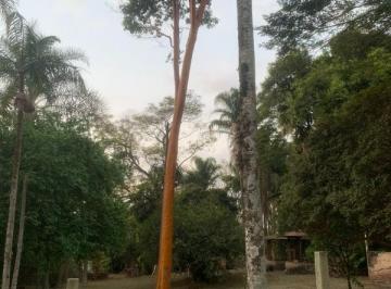 Terreno · 600m² · 6 Quartos · 15 Vagas · Chácara para alugar em Cidade Jardim de 600.00m² com 6 Quartos, 2 Suites e 15 Garagens