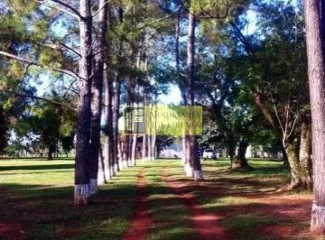 Terreno de 3 quartos, São José do Rio Preto · Chácara para alugar em São Benedito Da Capelinha (zona Rural) de 10.00m² com 3 Quartos e 6 Garagens