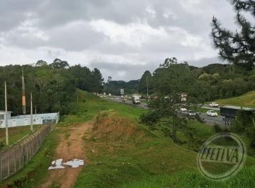 Terreno · 10837m² · Terreno para venda em Colônia Rio Grande de 10837.00m²