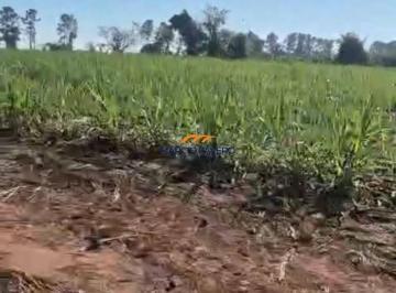 Imagem 1 · Sítio para venda em Área Rural de Casa Branca, Casa Branca
