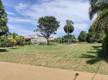 Imagem 1 · Fazenda para venda em Centro, Fronteira
