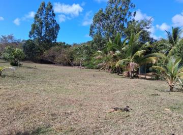 Rural , Camaçari · SÍTIO RURAL COM 26.000 METROS QUADRADOS, A 15 MINUTOS DA PRAIA
