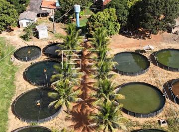Imagem 1 · Sítio para venda em Formosa