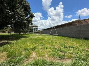 Imagem 1 · Terreno para venda em Setor Sul, Formosa