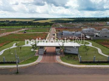27b87e30-f2bf-43f4-bdfd-17c7fd1ad7f91790107738811.jpg · Lote - Parque Vivá.