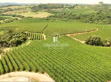 i1.jpg · FAZENDA DE CAFÉ À VENDA – SANTO ANTÔNIO DO AMPARO/MG