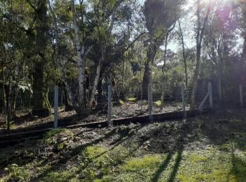 202609281721594766.jpeg · Terreno para Venda em São Francisco de Paula