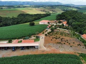 med_751970f7ddb3bff54697a6a73ec7cb2d.jpg · FAZENDA MARAVILHOSA - SUL DE MINAS GERAIS