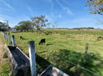 med_feabf282bc906f81201760650cada21f.jpg · FAZENDA CRUZEIRO - SP