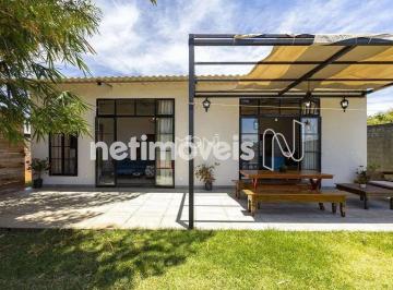 fotohandler-251790625322474.jpg · Casa térrea - 2 Quartos com 1 Suíte - Vila das Palmeiras , Setor Habitacional Tororó (Jardim Botânic