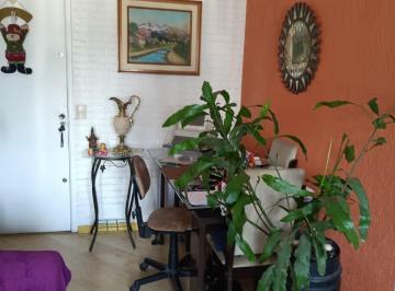 Apartamento · 50m² · 2 Quartos · 1 Vaga · Apartamento em Baeta Neves - São Bernardo do Campo