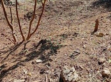 Photo 1 · Terreno à venda, 258 m² por R$ 196.000,00 - Jardim Cruzeiro - Itapevi/SP