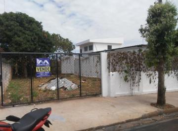 Foto 01 · Terreno - Vila Rodrigues