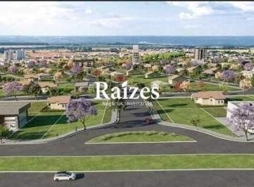 Terreno · 250m² · Terreno ótima localização