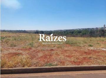 Terreno · 250m² · Terreno Residencial à Venda em Uberlândia – Bairro Aclimação (Leste)